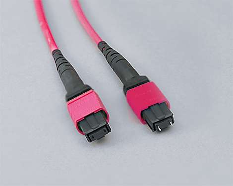 MTP female - MTP female