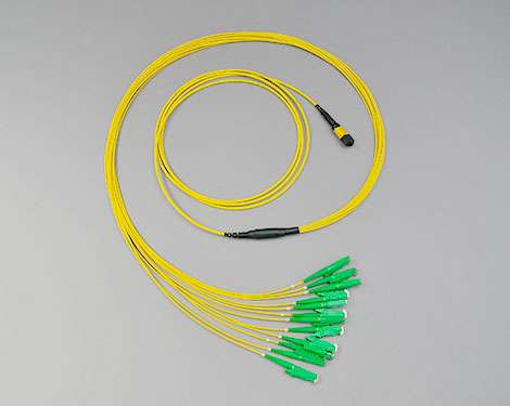 Fanout, MTP®/MPO APC female-12xE2000APC, 9/125µm, 3.0m
