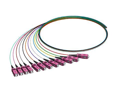 Pigtail-Set 12 x SCPC, 50/125µm OM4, 2.0m